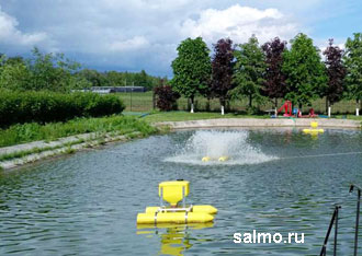    SALMO.RU
