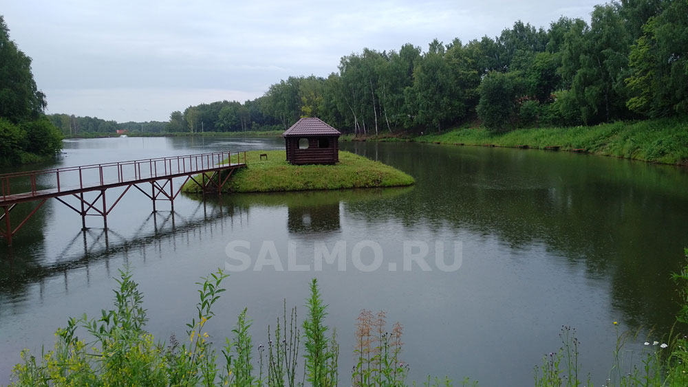 Райский уголок с прудом под Нижним Новгородом
