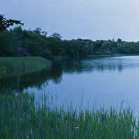 специалисты по разведению рыбы. lake1 s. специалисты по разведению рыбы фото. специалисты по разведению рыбы-lake1 s. картинка специалисты по разведению рыбы. картинка lake1 s. Услуги по рыбоводству и консультации по содержанию прудов и водоемов предлагают компетентные специалисты, имеющие большой практический и научный опыт в рыбоводстве. Консультируем по вопросам рыборазведения, рыбохозяйственной гидрохимии, анализу воды, технологии очистки прудов. Предлагаем методы борьбы с заболеваниями рыб. Нами разработана технология устранения затхлого запаха воды в прудах и повышения качества воды в водоемах. Ремонтируем аэраторы отечественного и зарубежного производства.