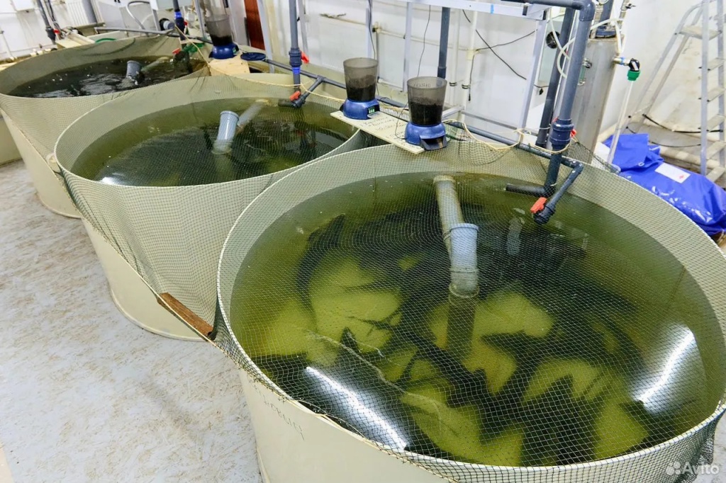 Продается УЗВ, действующая