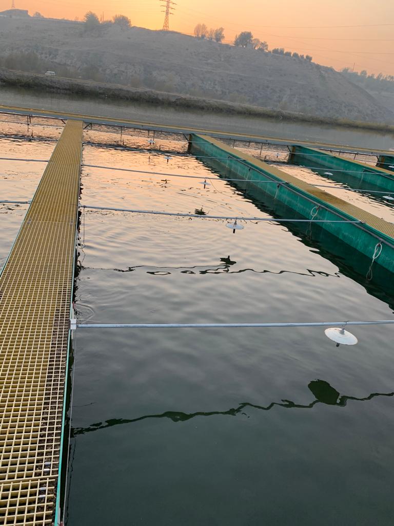 Бассейновое хозяйство с эрлифтной подачей воды и системой самоочистки. Новые интенсивные технологии из Китая получают в Узбекистане распространение.