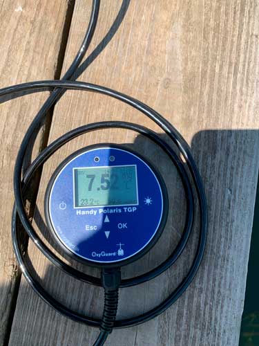 Концентрация кислорода на середине пруда до начала работы оксигенатора