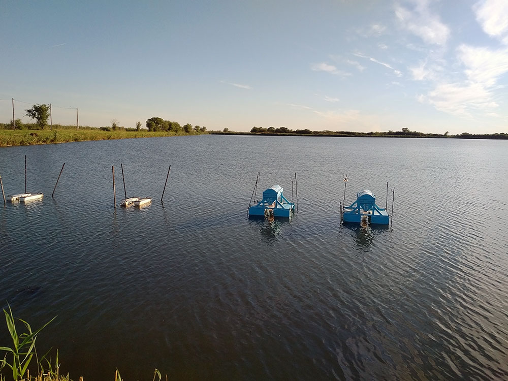 Кормушки и аэраторы в рыбхозе Семикаракорская рыба