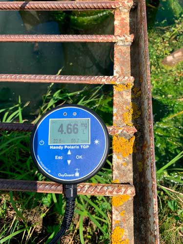 Концентрация кислорода на вытоке из пруда до начала работы оксигенатора