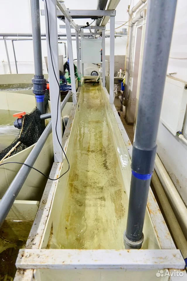 Продается УЗВ, действующая