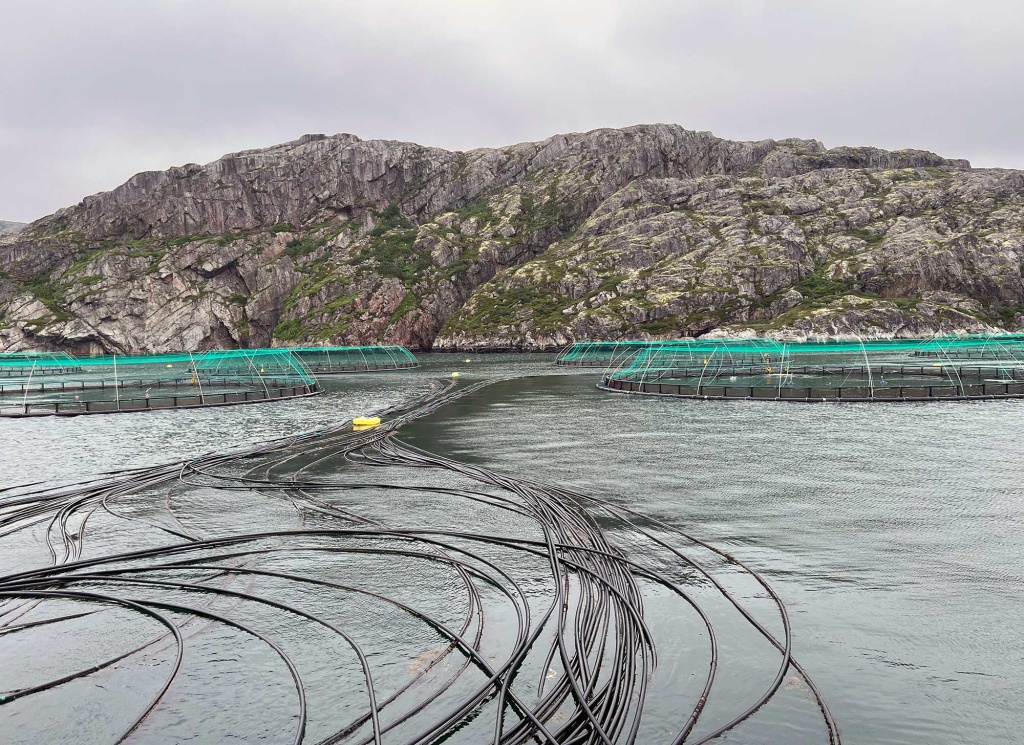 Общий вид морских садков на фоне сопок