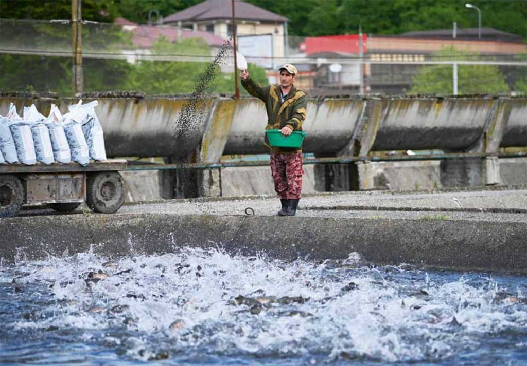 Круглый стол: итоги года. Бизнес идет своим путем